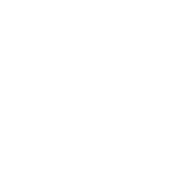 The image is entirely blank with a white background and contains no visible objects or text.